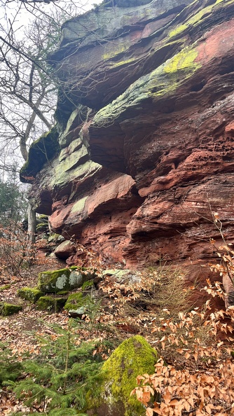 24-02-26 13-32-26 8702.jpeg